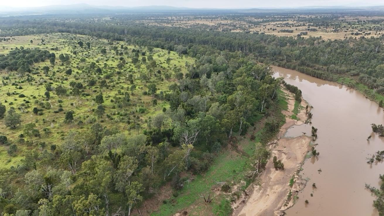 Aerial view of Moora Plains, with green, tree-covered country on the left and a river and more open, conventionally managed land on the right